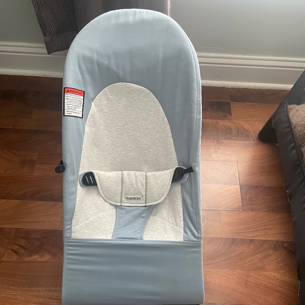 Baby Bjorn Soft Bouncer